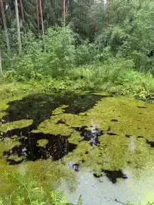 Eco Park Tourist base - 45