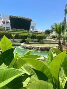 Royal Monte Carlo Sharm El Sheikh - Adults only - 20