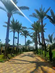 Sharm Resort - All Inclusive - 34