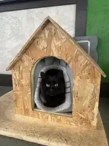 Dom Uchenykh Netr.p. Rzhavki Gostinitsa - 8