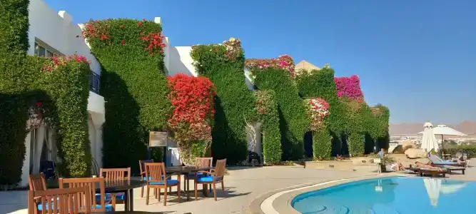 Eden Rock Namaa Bay - 6