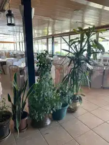 Odrys Beach & Resort - 27