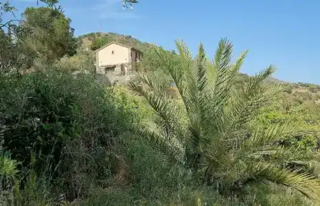 Antico Palmento di Feo Coniglio - 11