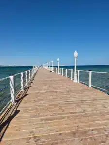 Pickalbatros Jungle Aqua Park - Neverland - 65