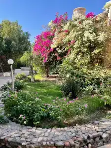 Mirage Bay Resort & Aqua Park - 10