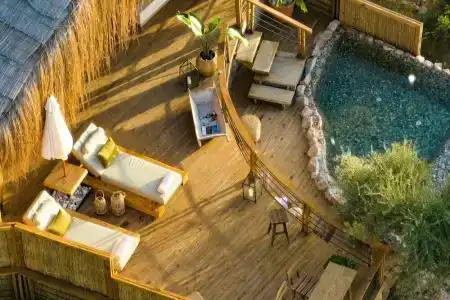 Perdue Adults Only - 40