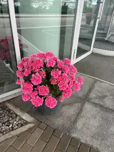 Славянская - 38