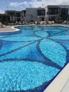 Assos Barbarossa - Special Class - 27