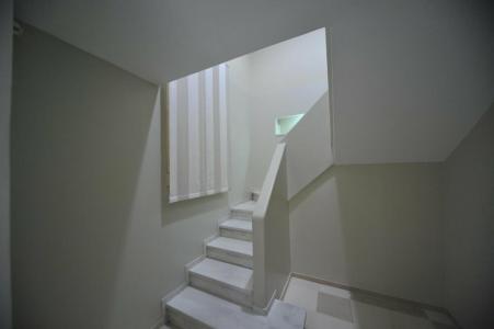 Gatto Bianco Duchessa - 16