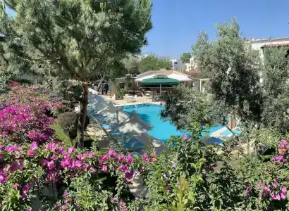 Moonshine & Suites - 38