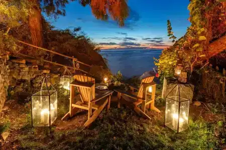 Perdue Adults Only - 43