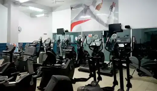 The St. George’s Park - 42