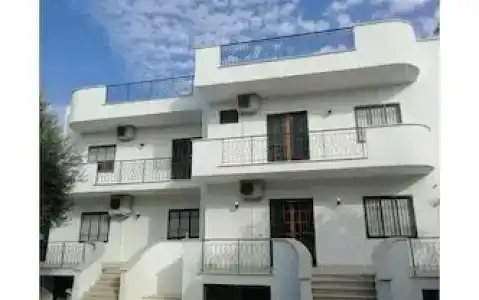 Gatto Bianco Duchessa - 1