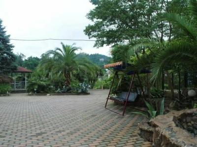 Green Garden - 7