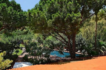 Alberi Del Paradiso - 17