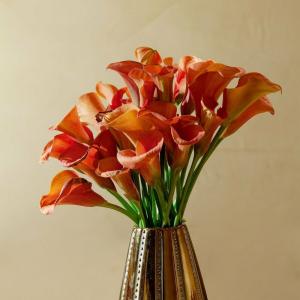 Bio Raphael - Relais & Châteaux - 11