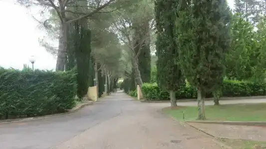 Oasi Dei Discepoli - 8