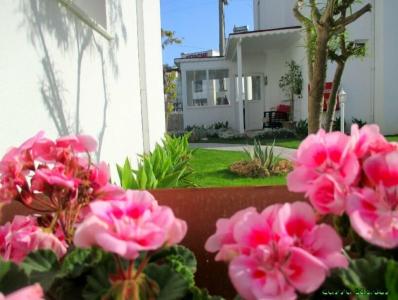 Canna Garden - Adults Only - 8