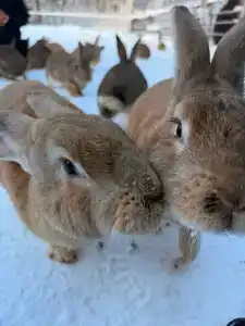 Baza Otdykha Ogni Imandry - 44