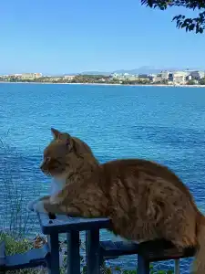 Horus Paradise Resort - Ultra All Inclusive - 62