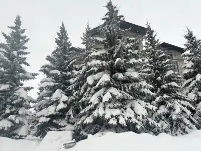 Russia - 1