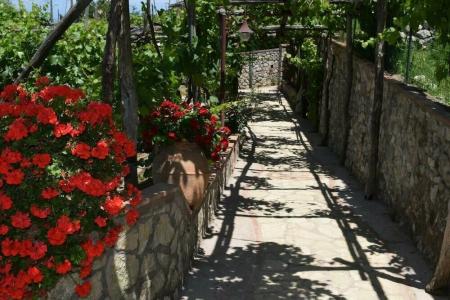 B&B Il Grappolo - 8
