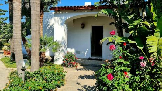 Cocos Park Ischia - 4