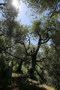 B&B Villa Catiè - 39