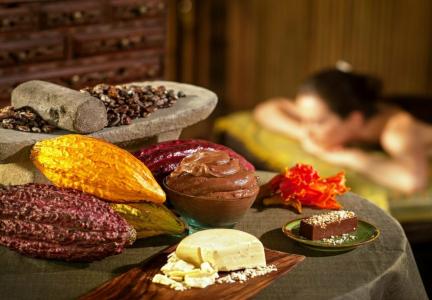 Fivelements Ubud - 5