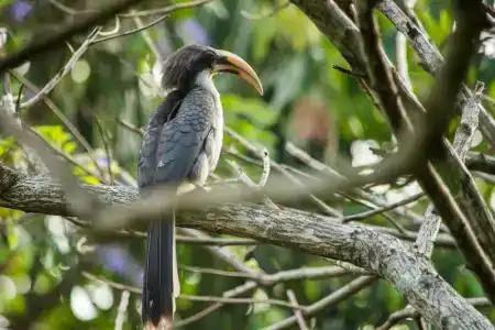 Kings Pavilion Luxury - 12