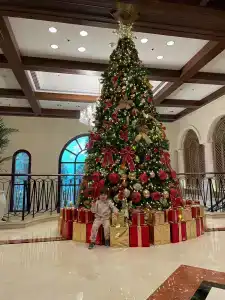 The Ritz-Carlton, - 4