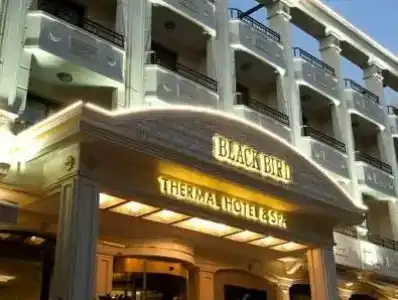 Black Bird Thermal & Spa - 40