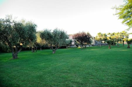 Don Antonio Glamping Village - 16
