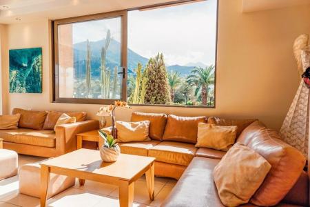 Apollo Resort Art - 28