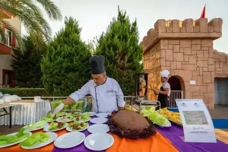 Fun&Sun Smart Hane Sun - 13