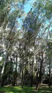 Wellness Park All-Inclusive - 22