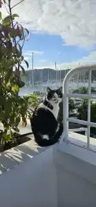 Yacht Classic - Boutique Class - 18