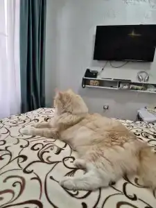 Grand Way Prospekt - 23