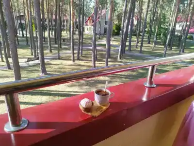 Sanatorii Energetik - 91