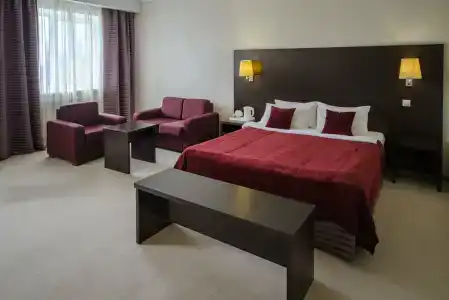 Avrora Business - 24