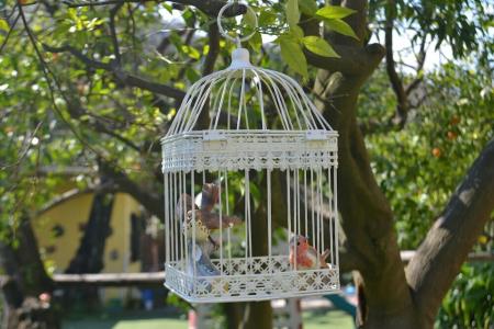 Sorrento Experience - 1