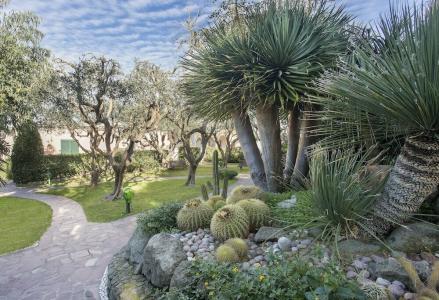 Terme Tritone Resort & Spa - 43