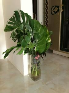 Madinat Al Bahr Business & Spa - 37