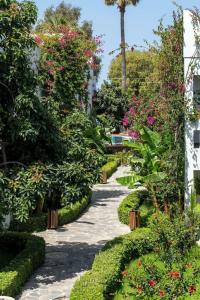 Yalıpark Beach - 14