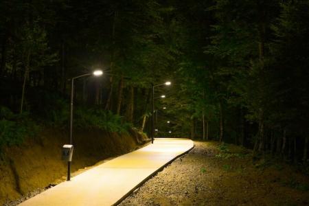 Cottage Crystal Bakuriani - 33