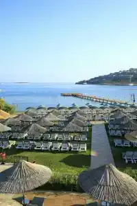 Club Cactus Fleur Beach - 29