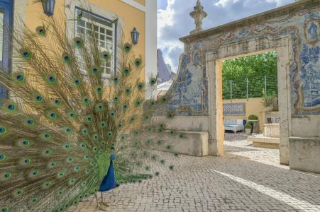 Solar Do Castelo, a Lisbon Heritage Collection - 2