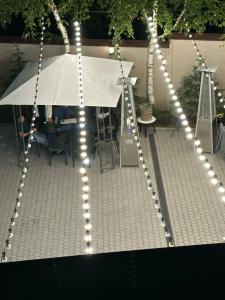 Forest 1961 & Restaurant - 19