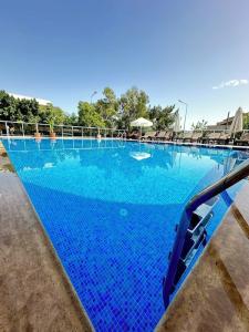 Mogons Exclusive - 10