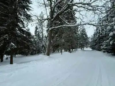 Plescheevo Recreation camp - 21